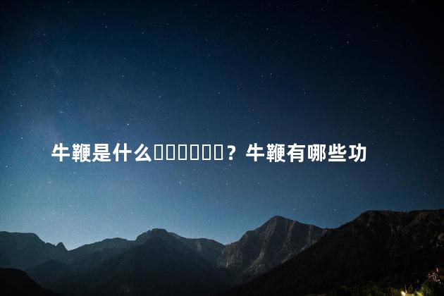 牛鞭是什么？牛鞭有哪些功效和作用图片